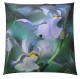 Ombrella : The Iris by Jean Lacalmontie 