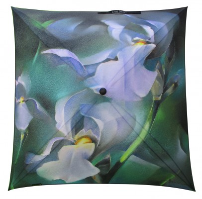 Ombrella : The Iris by Jean Lacalmontie 