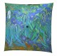 Couverture "Les iris" de Vincent Van Gogh