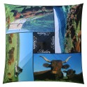 Ombrella Carré Delos Aurillac  "Vaches Salers"