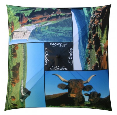 Umbrella coverage :  "Vaches Salers" by Pierre SOISSON