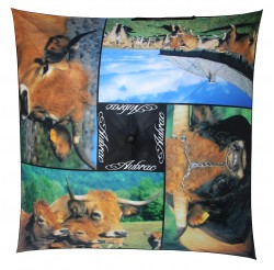 Couverture de parapluie : "Vaches Aubrac" de Pierre SOISSON