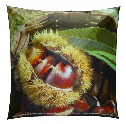 Parapluie Publicitaire La Chataigneraie Maurs La Joliepour Club tir à l'arc d'HOUILLESARTAILE