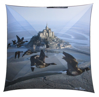 Parapluie Publicitaire pour "Voler avec les oiseaux"